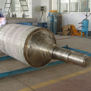 Furnace Roller